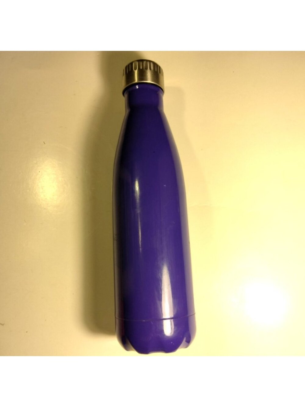 Everyday Living Purple Metal Water Bottle Tall Travel Stainless Steel 16 oz
